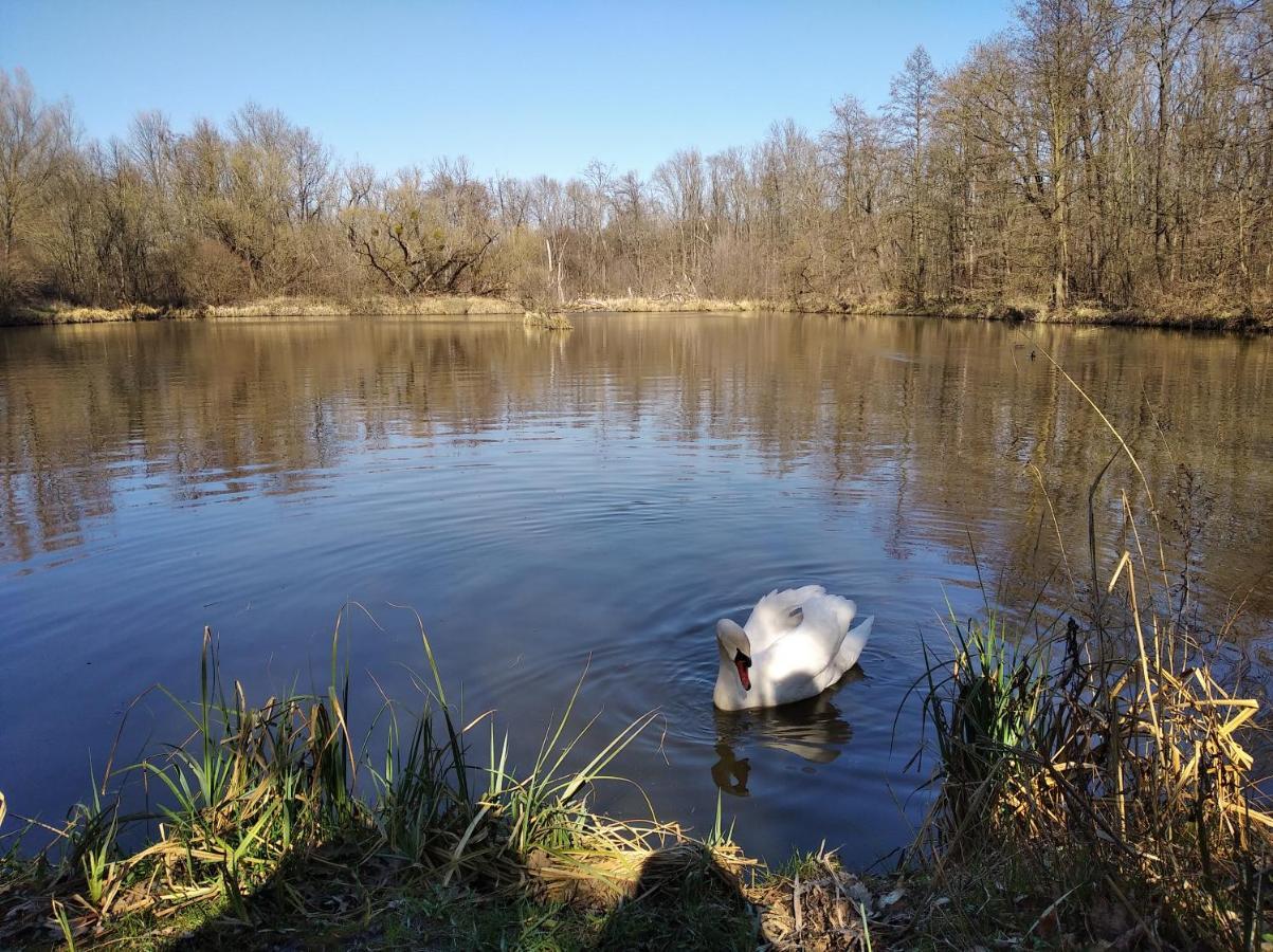 Ubytování u Malinkovičů Břeclav Exterior foto