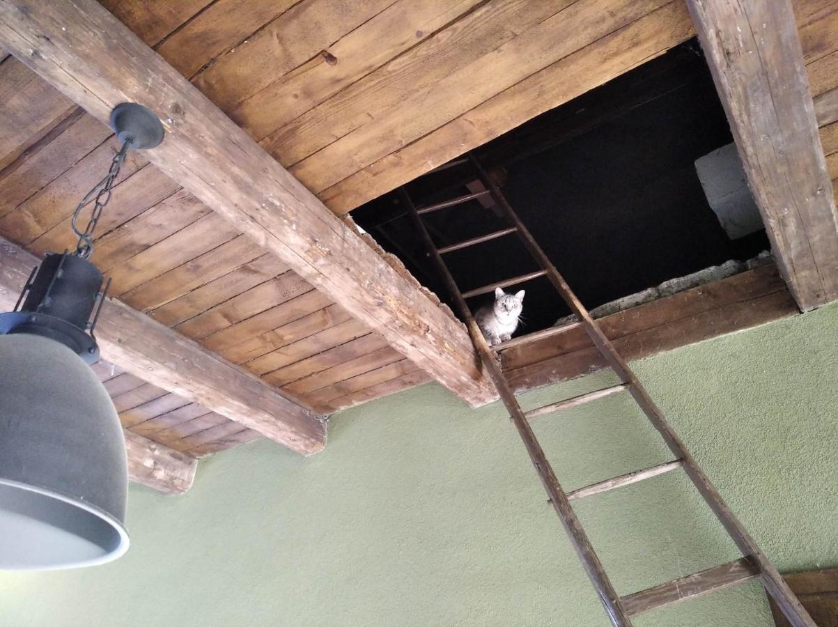Ubytování u Malinkovičů Břeclav Exterior foto